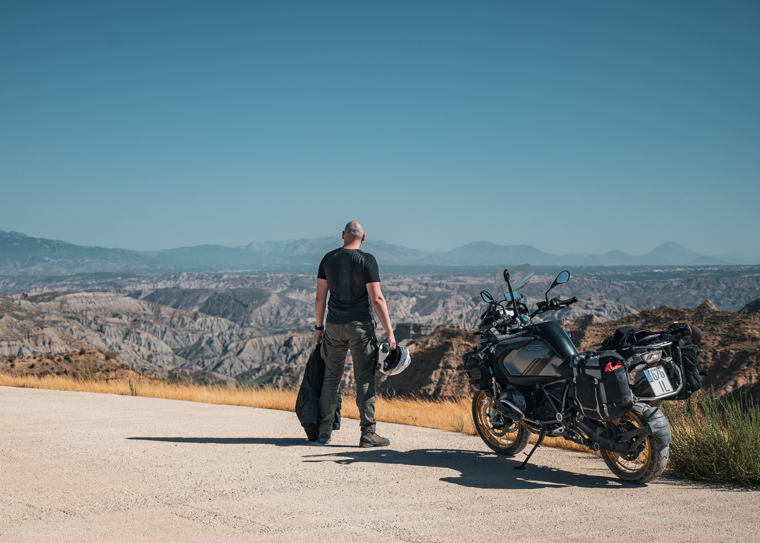 Rider overlooking a canyon landscape